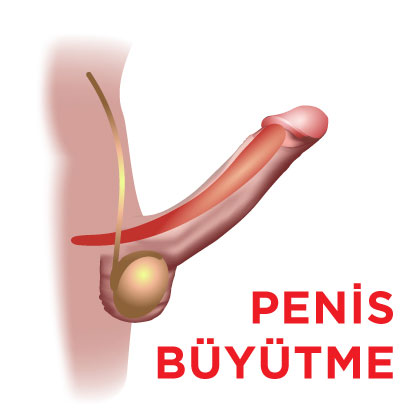 Penis Buyutme